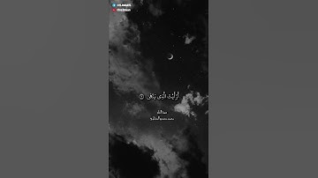 سورة العلق  ||  الآية ٦ - ١٢   ||  الشيخ المنشاوي