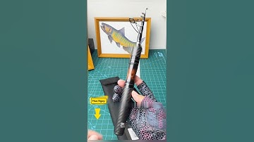 Cần lure rút gọn cao cấp siêu mini #cauca #fishing