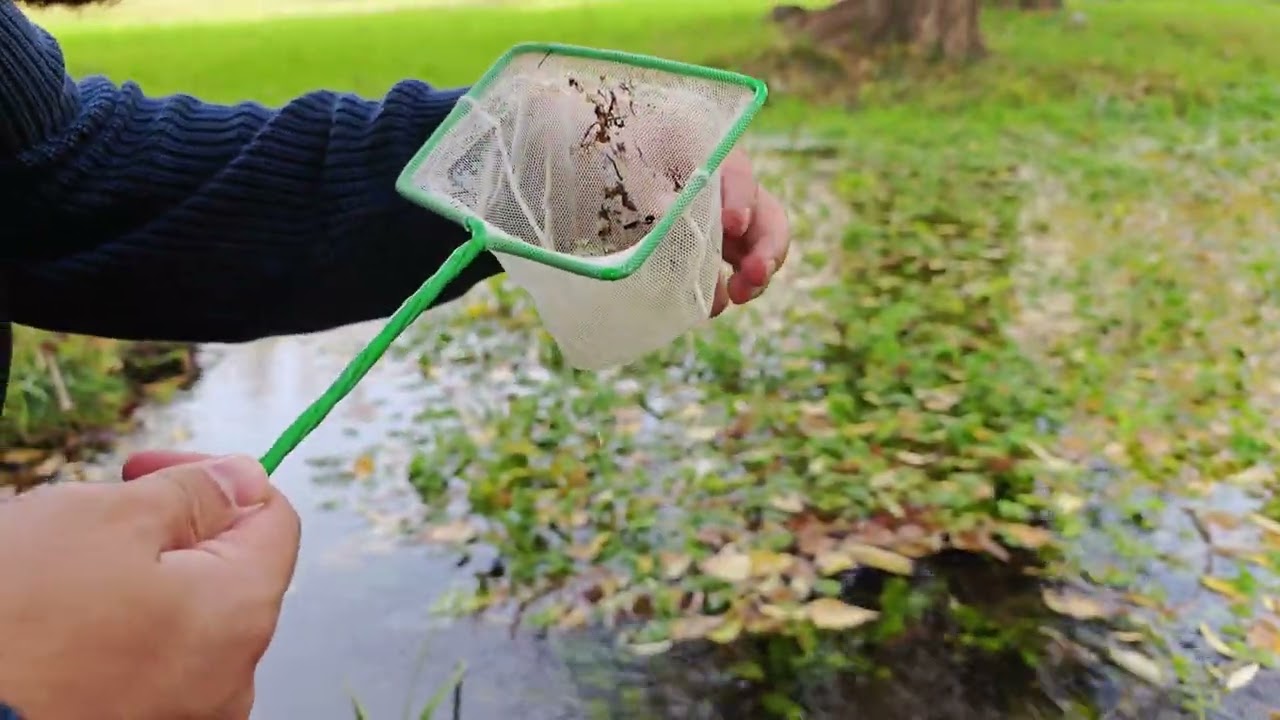 Doğadan Canlı Bitki Akvaryumu Kurduk | TERRARIUM