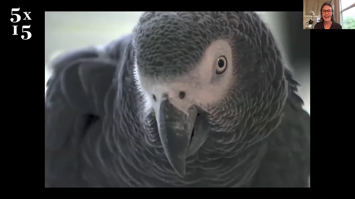 A New Look at How Birds Talk, Work, Play, Parent, ...