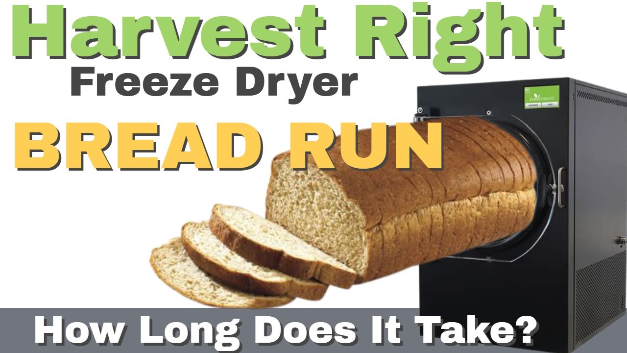Harvest Right Bread Run (Harvest Right Freeze Dryer) 2021 YouTube