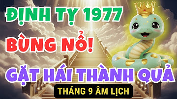Bùng Nổ! Đinh Tỵ 1977: Tháng 9 Âm Lịch 2025, Vượt qua áp lực, gặt hái thành công lớn