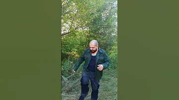 Что делать если за вами гонятся хищные звери