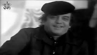 I Gufi - Ferriera I Gufi - Ferriera