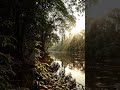 #water #wind #flow #sun #sunrise #tree #shorts #short #shortvideo #shortsfeed #shortsfeed #nature