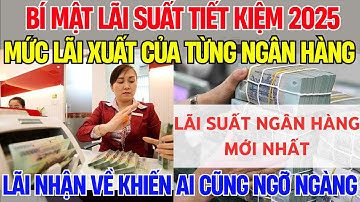 Gửi Tiết Kiệm 100 Triệu Đồng Lãi Bao Nhiêu Tháng 8/2025? Ngân Hàng Lãi Cao Nhất | Thấu Kính