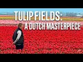 Keukenhof: A Flower Lover’s Dream! 🌸