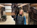 Trainer Jenny Melander talks about her racing journey with Wisenheimer on the track and now their success story of his wonderful new off-track life.