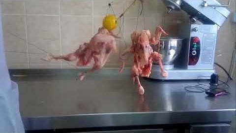 Video catalog - YOUTUBE