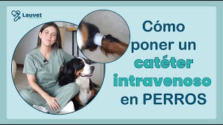 CÓMO PONER UN CATÉTER INTRAVENOSO EN PERROS  Lauvet