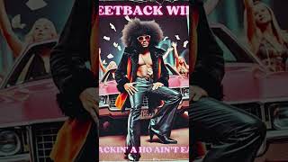 SMACKIN' A HO AIN'T EASY (Obscure 1970s funk music)