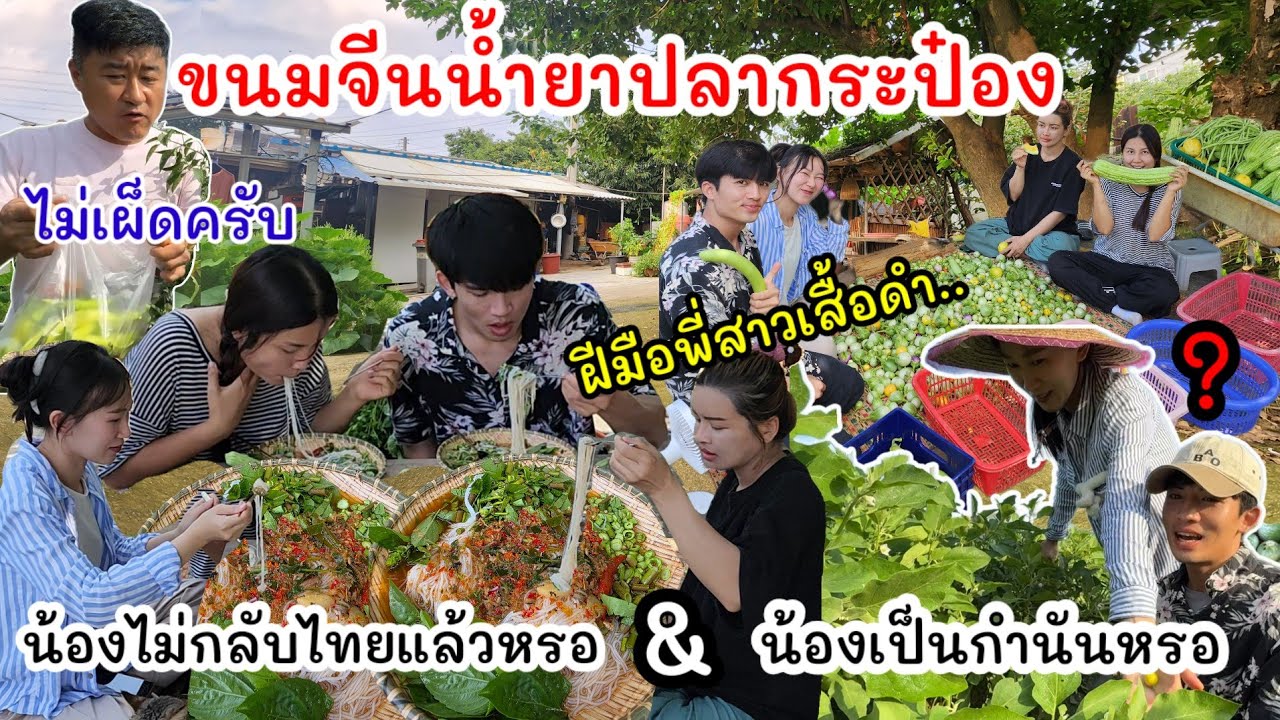 EP.977 เก็บผักเสร็จ พี่สาวมาทำขนมจีนปลากระป๋องให้กิน พากันหิวข้าวมาก😅 น้องเป็นกำนันจริงหรอ?