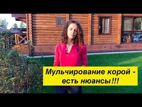 Бейне: Мульчирование. Резервуарды мульчирование әдісі