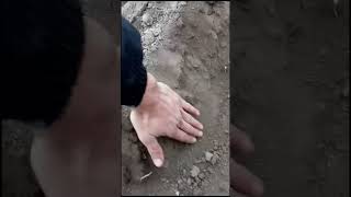 видео: Как должны стоять тяги чтобы плуг сам заходит в землю картинка: Как должны стоять тяги чтобы плуг сам заходит в землю