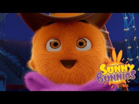 Cartoons for Children | THE MACHINE | SUNNY BUNNIES | Funny Cartoons For Children