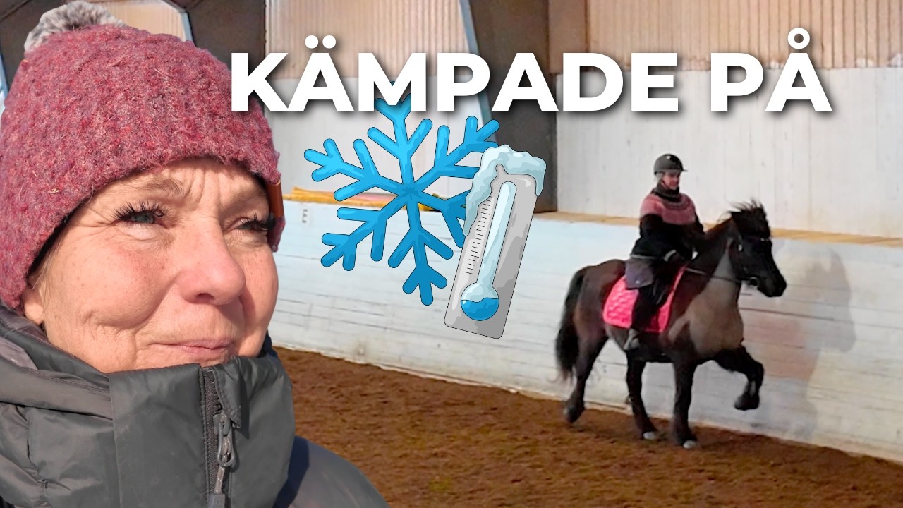 STALLVLOGG: Stallgänget på iskall kursdag med HÄSTARNA  🥶❄️. Åkte till Elsa Mandal Hreggvidsdottir!