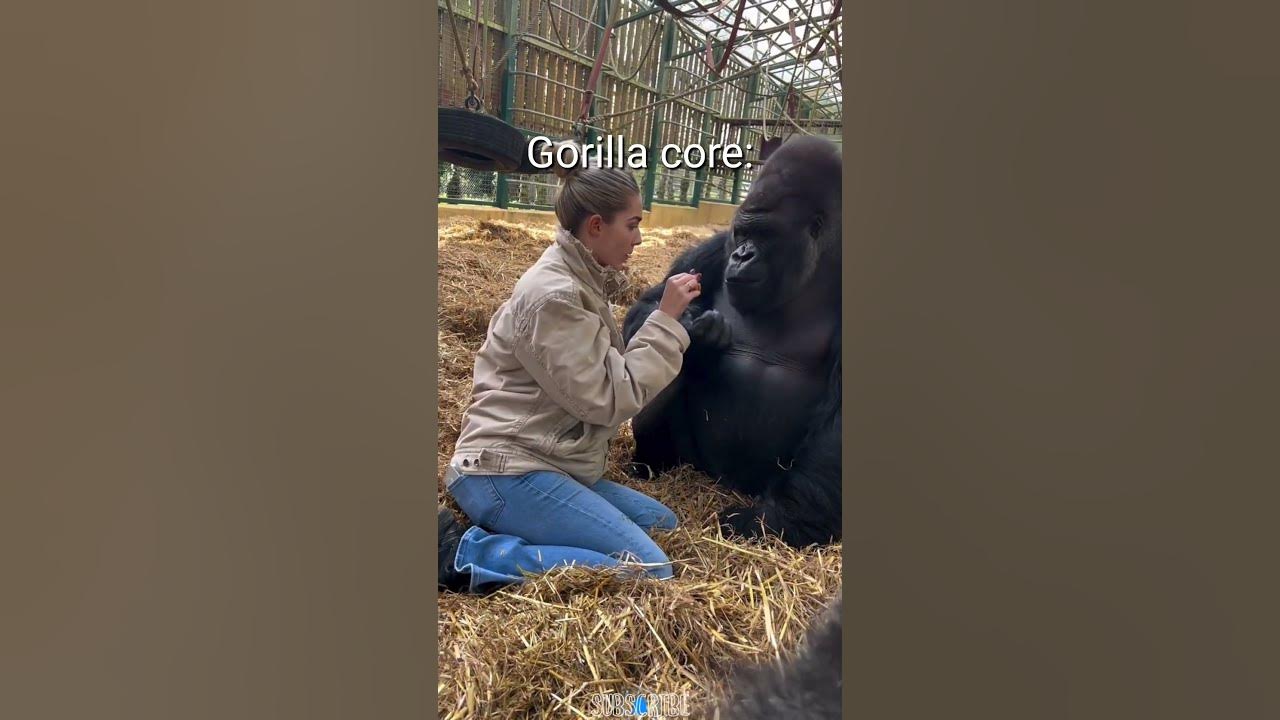 Gorilla Core😂What kind of sound is that making?😅 #living_life #Gorilla #Shorts #viralvideo