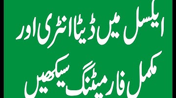 Excel 2013 Urdu Tutorial Video 3 | Learn Ms. Excel 2013 Step by step urdu