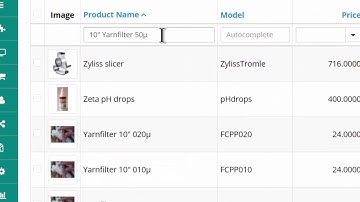 Opencart Product Quick Edit extension