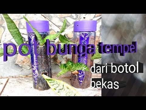  Pot  bunga tempel  dari  botol  bekas  wahyudi yudi YouTube