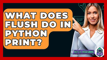 What Does Flush Do In Python Print? - Next LVL Programming