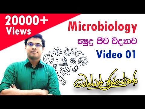 ක්‍ෂුද්‍රජීව විද්‍යාව - Microbiology - Video 01 - A/L Biology