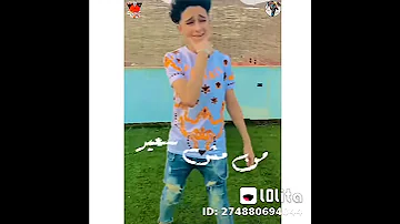 اغنية مفيش حبيب 