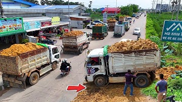 Processing Start Landfill Task! Dozer Push Stone Cross the canal, Trucks 5Ton Dumping Soil, Mix VDO