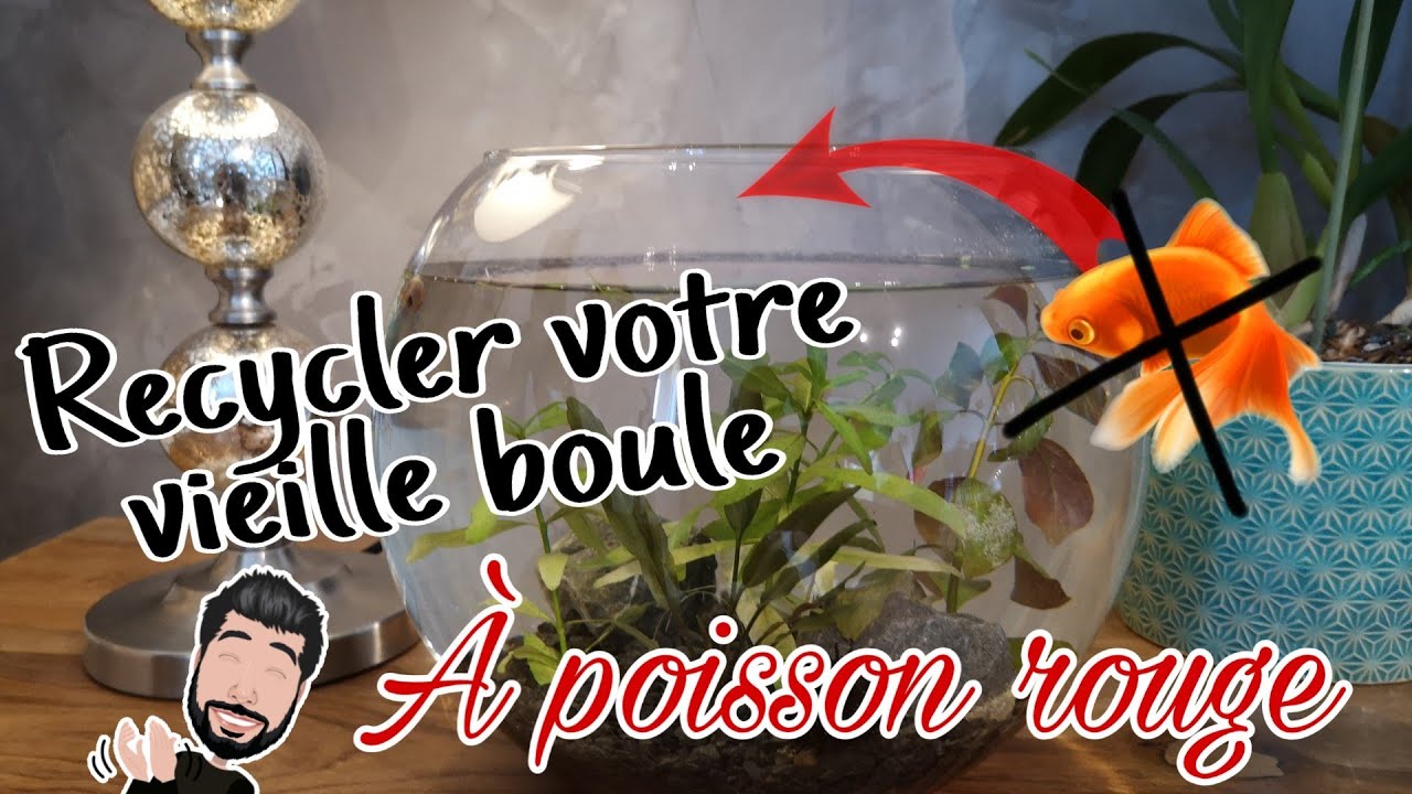 [TUTO] Recycler votre vieille boule à poisson rouge YouTube
