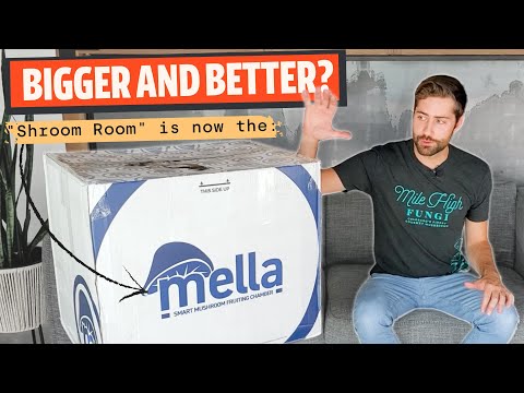 The Automated Mushroom Fruiting Chamber That’s Getting Closer To A Reality With “The Mella”