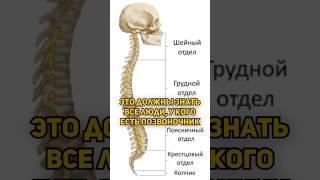 Как убрать боль в спине за 5 минут ⚡️ #здоровье #спорт #йога #спина #осанка #спортивнаямедицина
