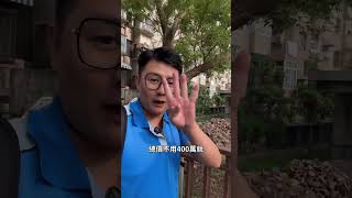 在嘉義市總價不用400萬 擁有滿滿渡假感的房子 走我帶你看房#嘉義阿均找房 #嘉義 #大熱門 #推薦