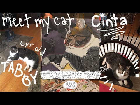 MEET MY CAT, CINTA | Day 13 of Vlogmas