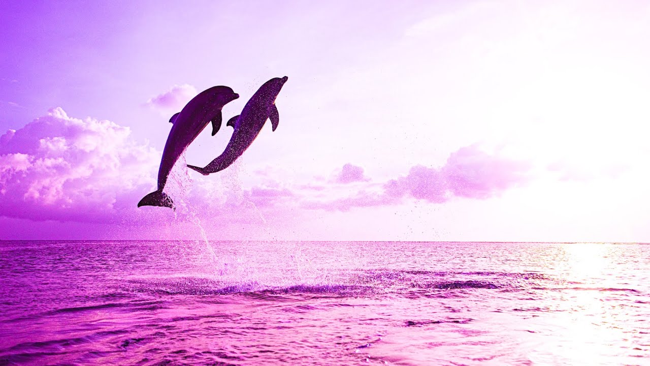 Meditative Relaxing Music | Positive Energy 432Hz | Ancient Healing Frequency | Enhance Self Love