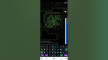 Dungeon Crawl Stone Soup[on my android]