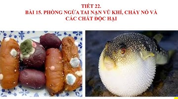 GDCD 8 – Phòng ngừa tai nạn vũ khí, cháy nổ và các chất độc hại - THCS Trương Gia Mô - Châu Đốc