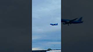 ITA Airways A319-100 Landing in Rome🇮🇹#viral #airplane #aviation #itaairways Roma