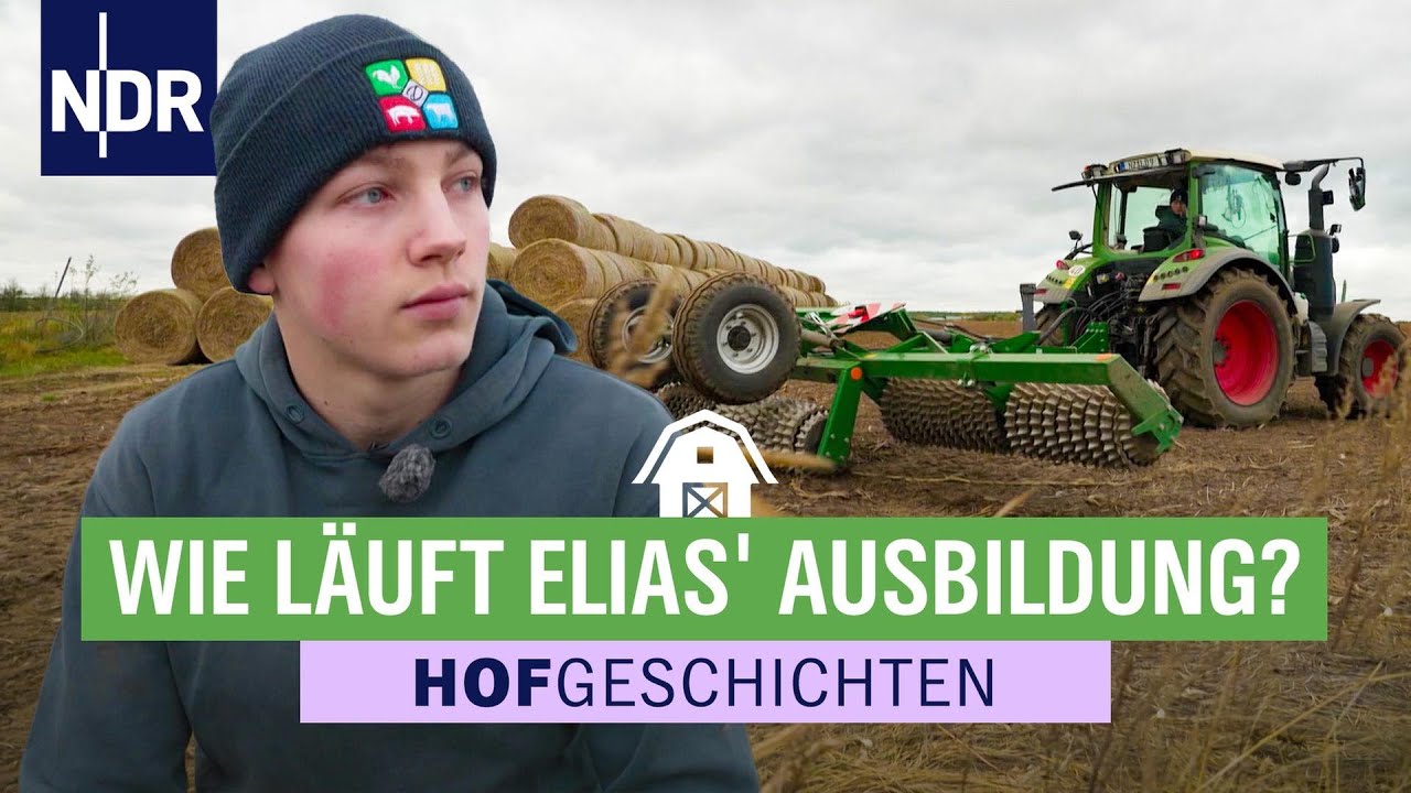 Karsten Dudziak & Elias: Lehrjahre sind keine Herrenjahre | Hofgeschichten (356) | 21.11.2025 | NDR