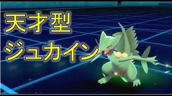 ジュカイン Youtube