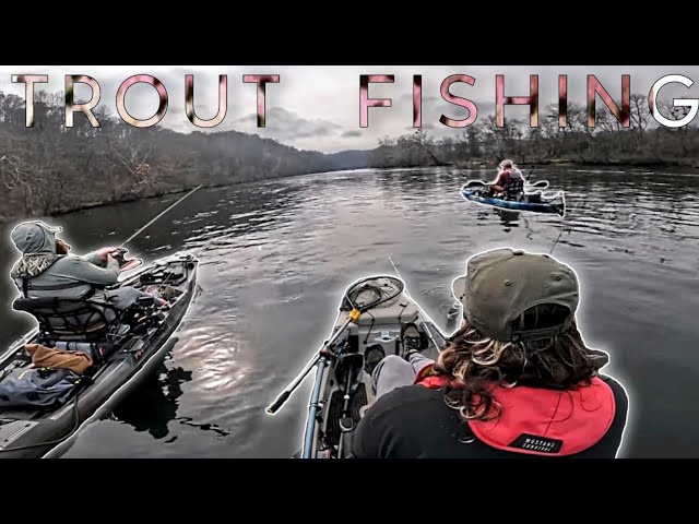 bait in top of fishing lure Heddon Spin'n Image