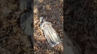 Weeping Angel Found In Real Life!