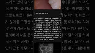 영도치과 전체 임플란트 vs 틀니치료 비용 비교 (치아교정치료 동반)