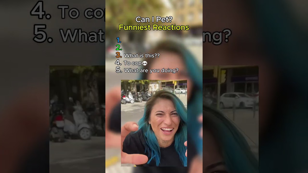 Можно ли погладить? Самые смешные реакции🤣
