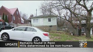 Remains Found In Penn Hills Determined To Be Non-Human