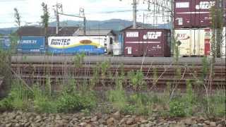 EF210-114号機[吹]牽引遅70レ 静岡貨物駅発車