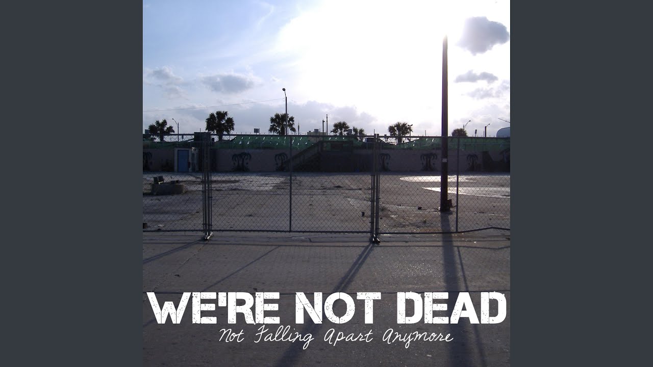 There's No Revolution in Your Rock