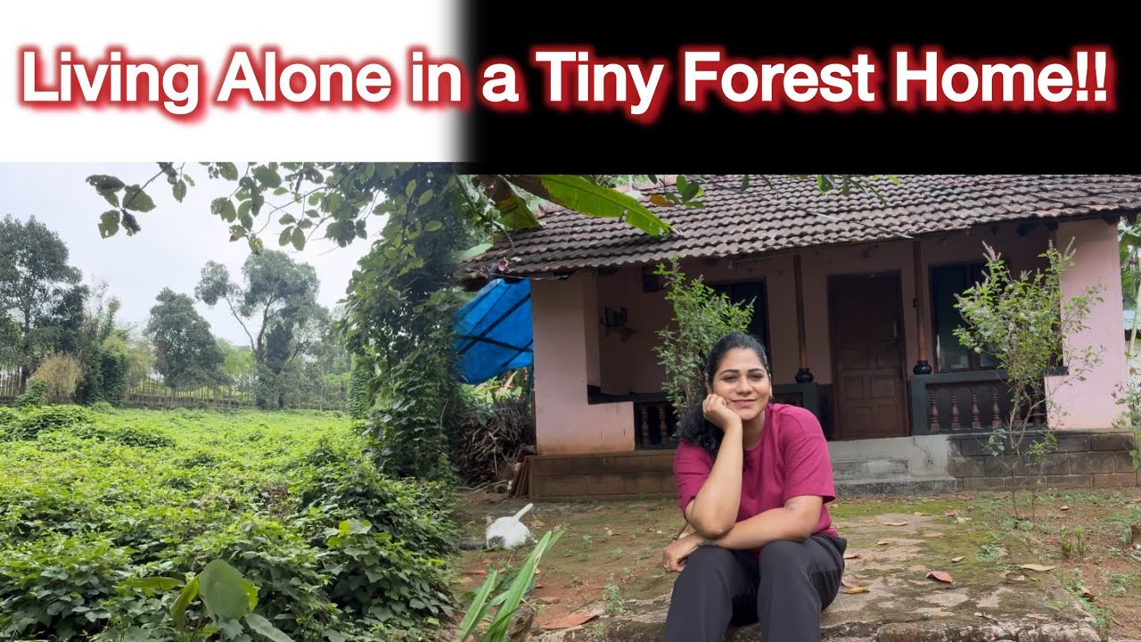 💫 കാട്ടിലെ എന്റെ വീടും ഞാനും!!🌿Rebuilding my life at 39!!