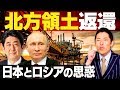 【ロシアと北方領土②】北方領土問題の未来は？日本とロシアの関係はどうなる？