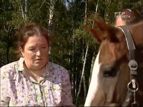 Сериал леди бомж 2 сезон все серии смотреть онлайн бесплатно