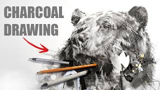 Drawing a detailed bear | Charcoal art process